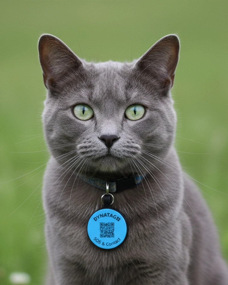 Pet-Tag SOS "Bone" Silicone Red